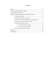 Privatizavimo proceso esmė ir jo ypatumai Lietuvoje 2 puslapis