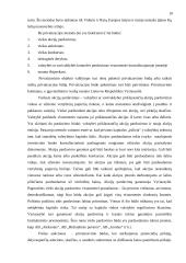 Privatizavimo proceso esmė ir jo ypatumai Lietuvoje 11 puslapis