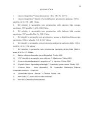 Privatizavimo proceso esmė ir jo ypatumai Lietuvoje 20 puslapis