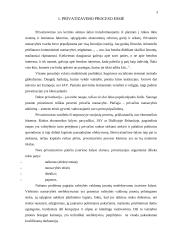 Privatizavimo proceso esmė ir jo ypatumai Lietuvoje 4 puslapis