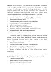 Privatizavimo proceso esmė ir jo ypatumai Lietuvoje 9 puslapis