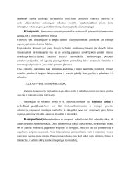 Dalykinio bendravimo su Vokietijos partneriais ypatumai 12 puslapis