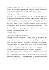 Dalykinio bendravimo su Vokietijos partneriais ypatumai 14 puslapis