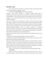 Dalykinio bendravimo su Vokietijos partneriais ypatumai 16 puslapis