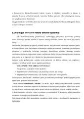 Dalykinio bendravimo su Vokietijos partneriais ypatumai 17 puslapis