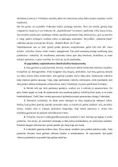 Dalykinio bendravimo su Vokietijos partneriais ypatumai 20 puslapis