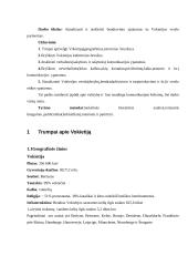 Dalykinio bendravimo su Vokietijos partneriais ypatumai 4 puslapis