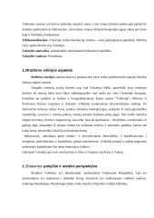 Dalykinio bendravimo su Vokietijos partneriais ypatumai 5 puslapis