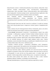 Dalykinio bendravimo su Vokietijos partneriais ypatumai 7 puslapis