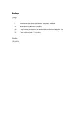 Priverstinės vykdymo priemonės