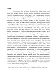 Priverstinės vykdymo priemonės 2 puslapis