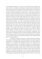 Priverstinės vykdymo priemonės 15 puslapis