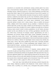 Priverstinės vykdymo priemonės 19 puslapis