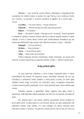 Dovanos. Dovanų psichologija 13 puslapis