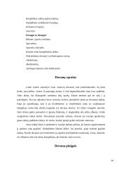 Dovanos. Dovanų psichologija 20 puslapis