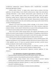 Projektų rengimas mokesčių inspekcijai integruojantis į Europos Sąjungą (ES) 19 puslapis