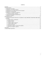 Projektų vadybos pagrindai 2 puslapis