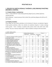 Projektų vadybos pagrindai 11 puslapis