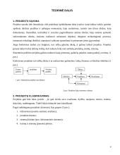Projektų vadybos pagrindai 4 puslapis