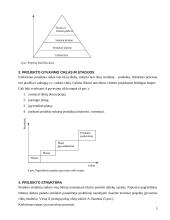 Projektų vadybos pagrindai 5 puslapis