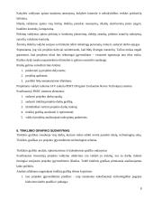 Projektų vadybos pagrindai 8 puslapis