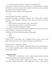 Projektų vadybos pagrindai 9 puslapis