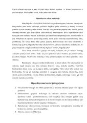 Hiperaktyvumo esmė ir korekcijos galimybės 7 puslapis