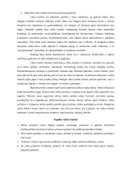 Hiperaktyvumo esmė ir korekcijos galimybės 8 puslapis