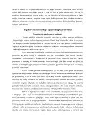 Hiperaktyvumo esmė ir korekcijos galimybės 10 puslapis