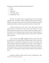 Projektų vadyba viešajame sektoriuje. Žaliakalnio projektinė veikla 5 puslapis