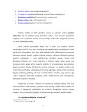 Projektų vadyba viešajame sektoriuje. Žaliakalnio projektinė veikla 7 puslapis