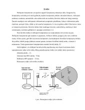 Radijo ryšio tinklo ir jo parametrų projektavimas  3 puslapis