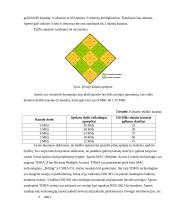 Radijo ryšio tinklo ir jo parametrų projektavimas  6 puslapis