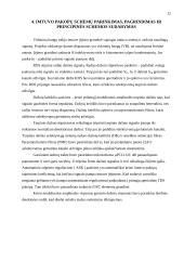 Radijo sistemos bei aparatūra 12 puslapis