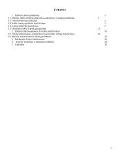 Rajoninio elektros tinklo projektas 2 puslapis