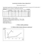 Rajoninio elektros tinklo projektas 3 puslapis