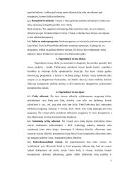 Bendra informacija apie kompiuterinius virusus 4 puslapis