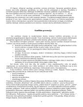 Konfliktinės situacijos prognozavimas ir valdymas 11 puslapis