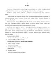 Konfliktinės situacijos analizė bei konflikto sprendimas 2 puslapis