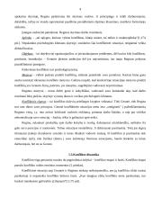 Konfliktinės situacijos analizė bei konflikto sprendimas 4 puslapis