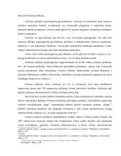 Lietuvos viešojo administravimo problemos ir reformos 11 puslapis