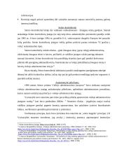 Lietuvos viešojo administravimo problemos ir reformos 17 puslapis