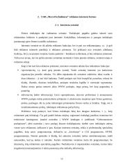 Reklamos paslaugų įvertinimas ir perspektyvos 12 puslapis