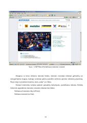 Reklamos paslaugų įvertinimas ir perspektyvos 13 puslapis