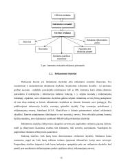 Reklamos paslaugų įvertinimas ir perspektyvos 14 puslapis