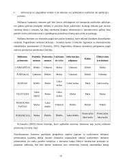 Reklamos paslaugų įvertinimas ir perspektyvos 9 puslapis