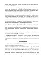 Reklamos paslaugų įvertinimas ir perspektyvos 10 puslapis