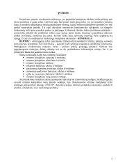 Rėmimo komplekso vieta įmonės veikloje: "Tele2" 2 puslapis