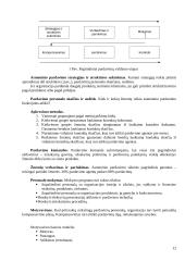 Rėmimo komplekso vieta įmonės veikloje: "Tele2" 12 puslapis