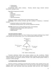 Rėmimo komplekso vieta įmonės veikloje: "Tele2" 13 puslapis